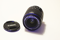 MG_85032.JPG