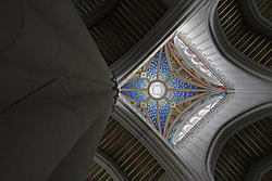 MG_8654.jpg