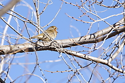 MG_8846peque.JPG