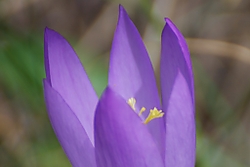 MG_89571.jpg