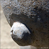 MG_8984-Editar.jpg