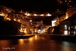 MG_90221.JPG