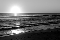 MG_9123-1.JPG