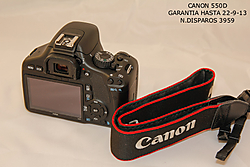 MG_9310.jpg