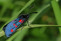 MG_9447.JPG