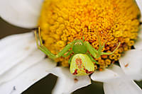 MG_94751.jpg
