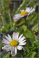 MG_9494.jpg