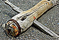 Madera_miniatura1.jpg