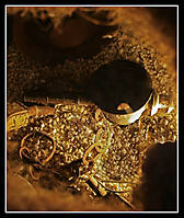 MateoB_08_g9.jpg