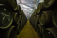 Mateob_02_g101.jpg