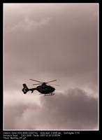 Merillou_07_g7.jpg