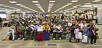 Miami_ene2011-348-1wf.jpg