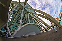 Museo_de_las_Ciencias_Pr_ncipe_Felipe.jpg