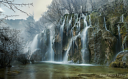 NACIMIENTO_R_O_CUERVO1.JPG