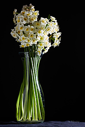Nadaletes-20.jpg