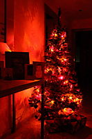 Navidad1.jpg