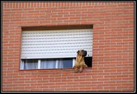 Observando-el-panorama.jpg