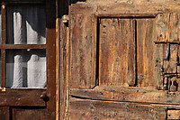 Olopte_20101.jpg