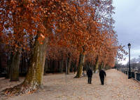 Oto_o-en-Aranjuez.jpg