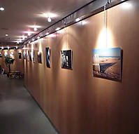 P1000076_1.jpg