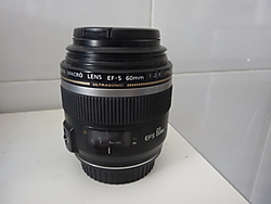 P1040170.JPG
