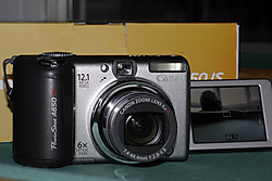 P1040956_1000.jpg