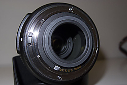 P5304404.jpg