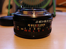 PA117495.JPG