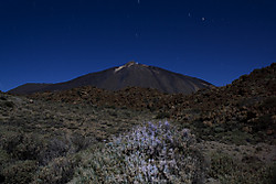 Papa_Teide.jpg