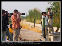 Paparazzis.jpg