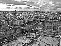 Paris-5.jpg