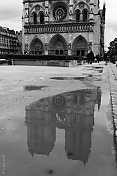 Paris_SAFARI_-_220314_-_03.jpg