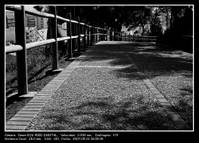 Paseo_en_B_N.jpg