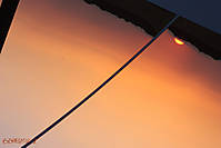 Pelicedu_10_g9.jpg