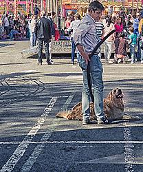 Perro_y_feria11.jpg