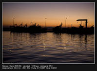 Port_Roses1024.jpg