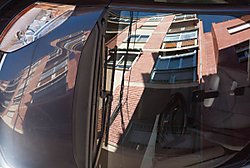 Procy_03_g19.jpg