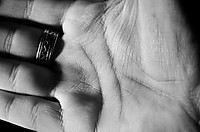 Procy_07_g16.jpg