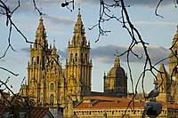 QDD-V_catedral_gaviota.jpg