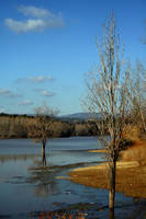 R1_IMG_2939_peq.jpg