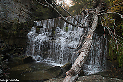 RUPIT_16.jpg