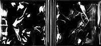 Reflejos19.JPG