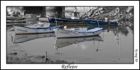 Reflejos_color_byn.jpg