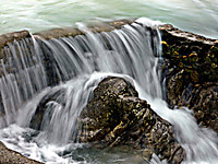 Reserva_salmonera_2.jpg