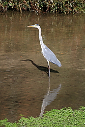 ResizerImage800X1200.jpg