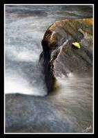 Rio_de_la_Miel_7_DSC2250_2.jpg