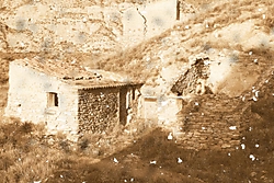 Rural_envejecida_3_1200x800.jpg