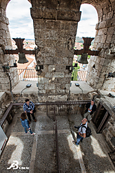 S4A2818.jpg