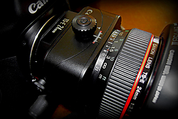 SDC10068_1000.jpg