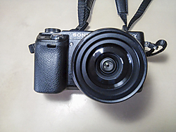 SONY_1.jpg